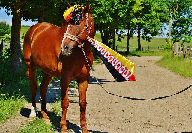 他強調道 他強調道