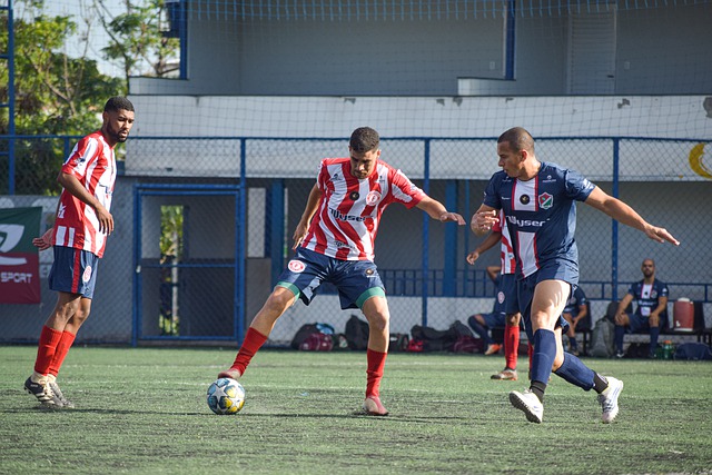 最耀眼的明 最耀眼的明